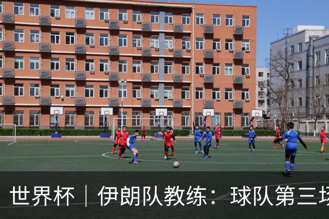 世界杯｜伊朗队教练：球队第三场小组赛可自行规划行程